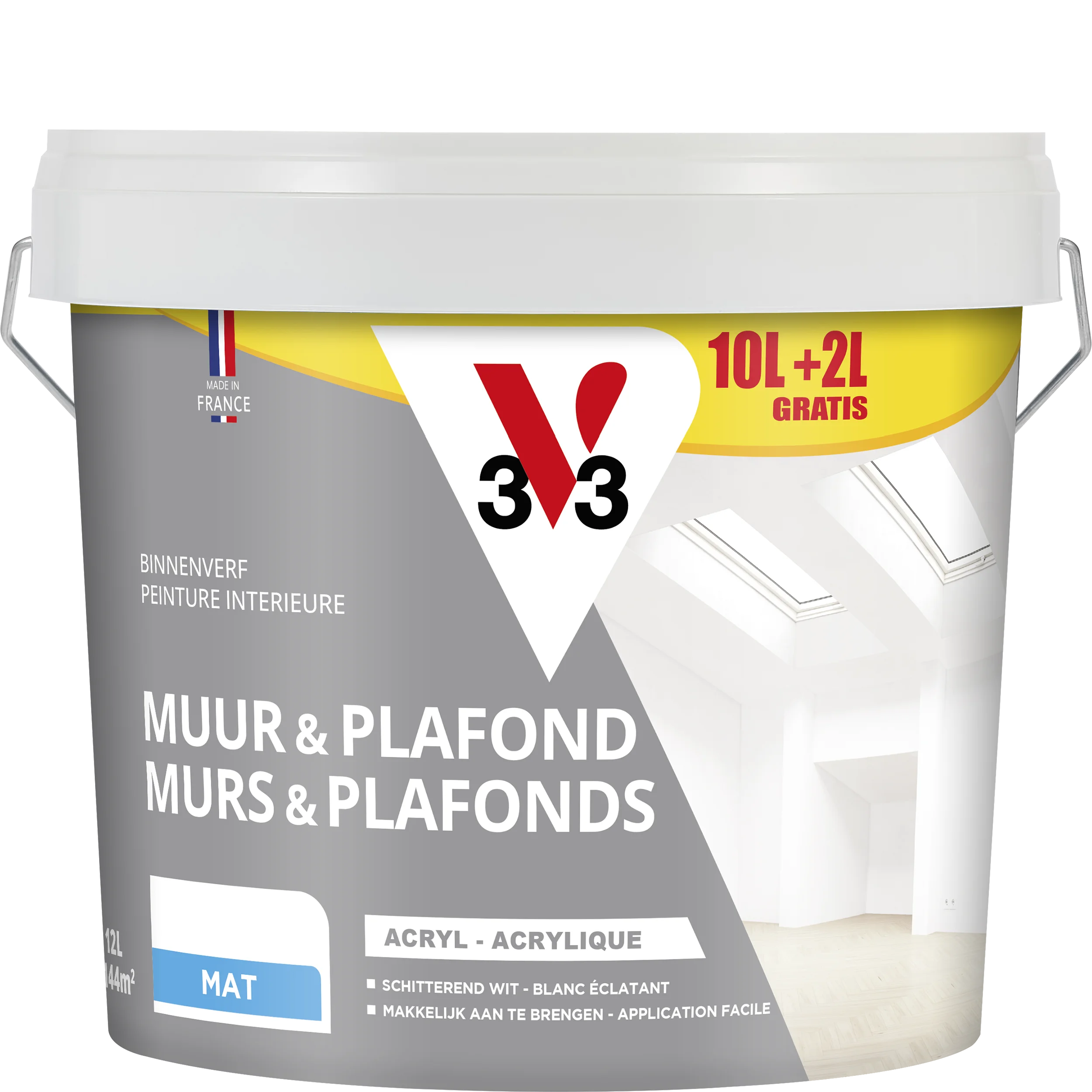 Peinture Murs & Plafonds V33