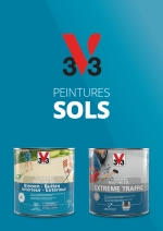 603210 - 3153895152983 - Peintures sol FR.jpg
