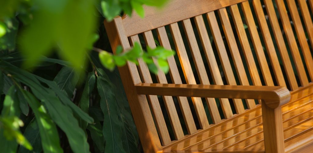 bench in the summer park
